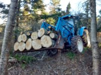 Collecting Fire Wood Dec 2015.jpg