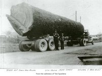 onelogtruck.jpg