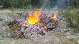 20150821_124924.jpg