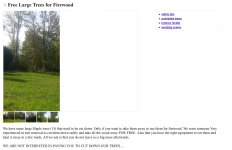 firewood.jpg