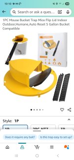 Screenshot_20250911_101015_Amazon Shopping.jpg