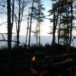 Looking North.jpg