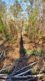 trail1.jpg