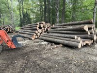 IMG_1255.jpeg