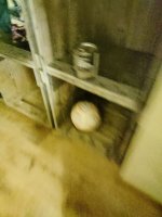 KIMG20250913_044031127.JPG