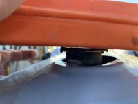 IMG_4932.jpeg