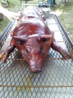 superpig.jpg