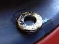 filter cap from fuel filter housing.JPG