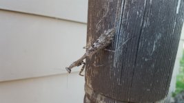 20151001_183356 (1280x720).jpg