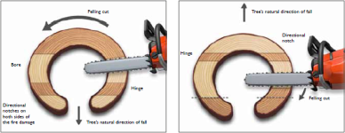 H185-0058.png
