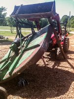 IMG_1004-copy.jpg