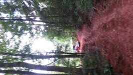 20150826_182907.jpg 20150826_182907.jpg
