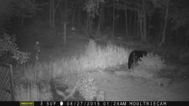 MoultrieCam 178.jpg