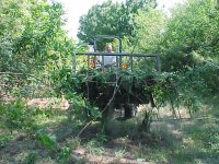 264984-myrake8.jpg