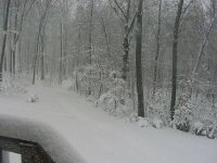 35-220118-SnowyDriveway.jpg