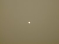 6-169651-Dscn1258x.jpg