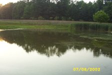 33-170168-stilllow.jpg