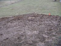 33-220653-Frontyard.jpg