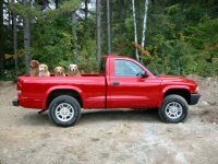 316943-Dogs in new truck.jpg