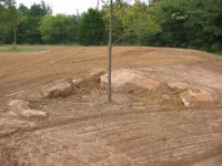 33-221706-pecantreewall.jpg