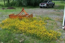5-171230-t.JPG