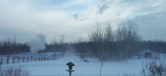 6-116654-w.jpg