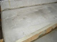 710472-forms_filled_pawprints.jpg