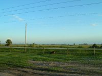 710603-DSCN0332.JPG
