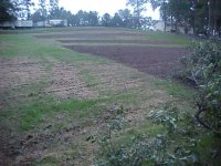 749410-MVC-195S.JPG