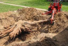 629947-BX-stump.JPG