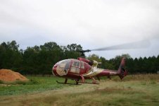833921-Gazelle.jpg
