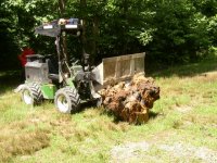 672765-stump carried by pt422.JPG