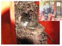 672813-birdhouse.jpg