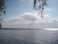834084-wd  12.9.JPG