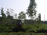 712938-Removing Stumps 024 (Small).jpg