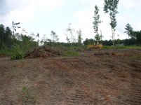 712950-Removing Stumps 037 (Small).jpg