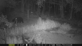 MoultrieCam 181.jpg
