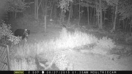 MoultrieCam 185.jpg