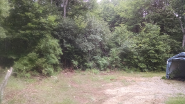 ForumRunner_20150709_184252.png