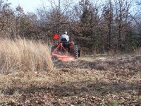 Clearing Brush.jpg