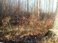 20151103_151601.jpg