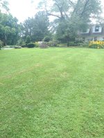 cut front.jpg