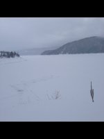 image-3454566936.jpg