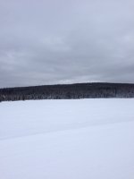 image-3823513874.jpg