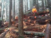 1029217d1447713879-good-morning-ollalie-trail-len-sticks.jpg