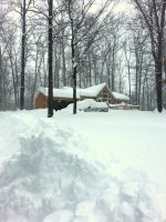 Snow Storm 2016 346.jpg