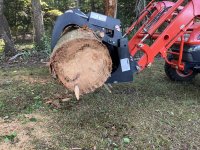 DrivewayTreeButt.JPG