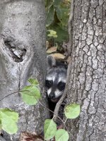 IMG_1635.jpeg