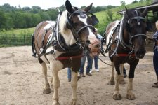 DSC05129 (640x428).jpg