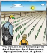asparagus.jpg
